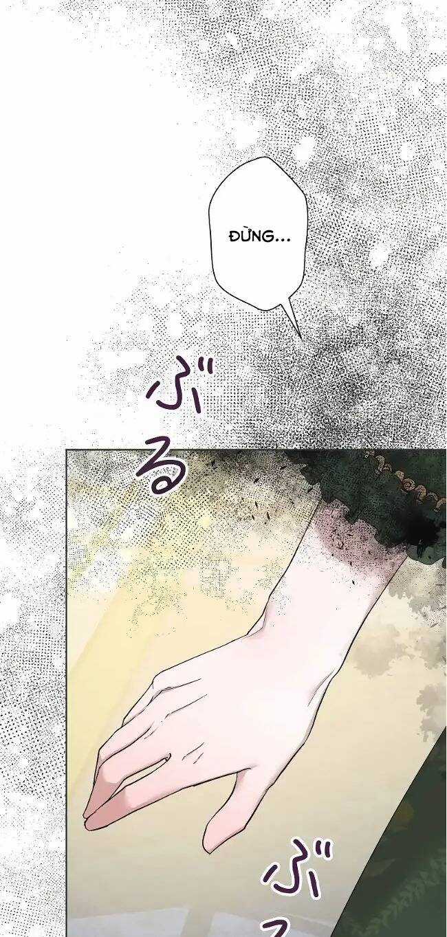 Tôi Đã Phá Vỡ Cuộc Hôn Nhân Chính Trị Chapter 9 trang 19