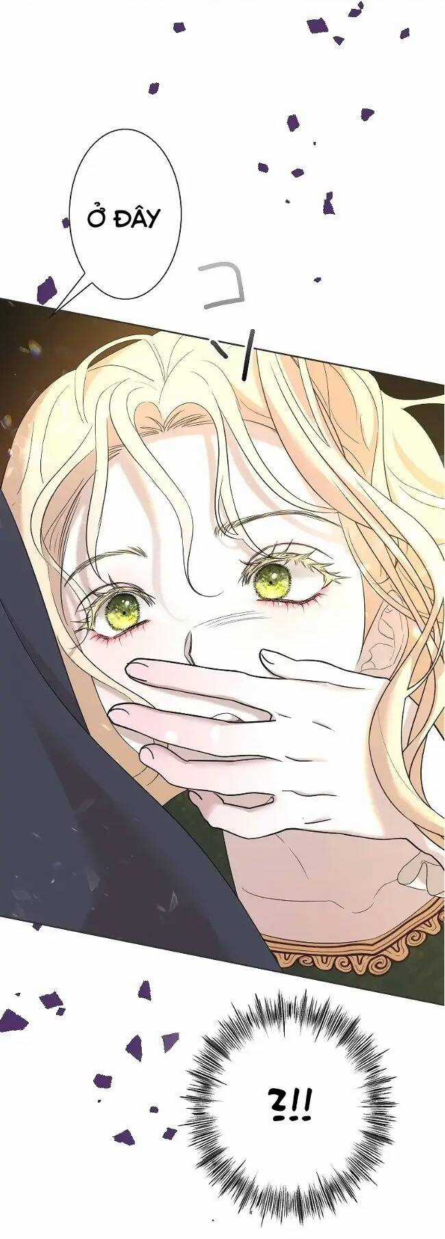 Tôi Đã Phá Vỡ Cuộc Hôn Nhân Chính Trị Chapter 9 trang 49