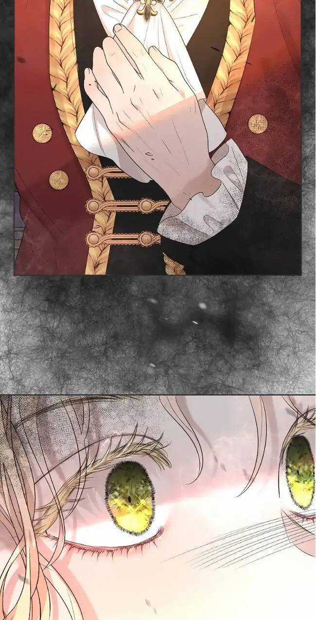 Tôi Đã Phá Vỡ Cuộc Hôn Nhân Chính Trị Chapter 9 trang 7