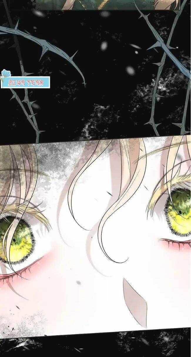 Tôi Đã Phá Vỡ Cuộc Hôn Nhân Chính Trị Chapter 9 trang 94