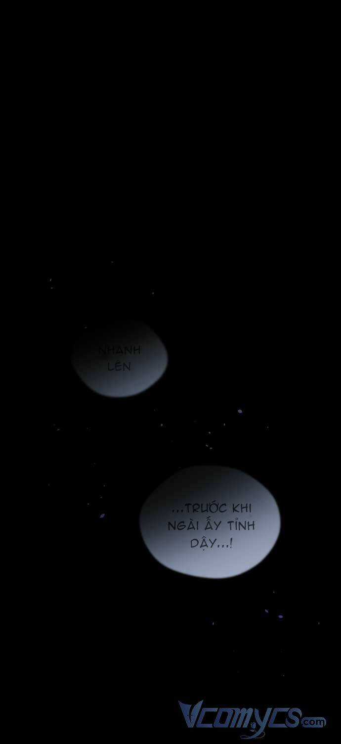 Tôi Đã Quyến Rũ Vị Công Tước Dối Trá Chapter 2 trang 57