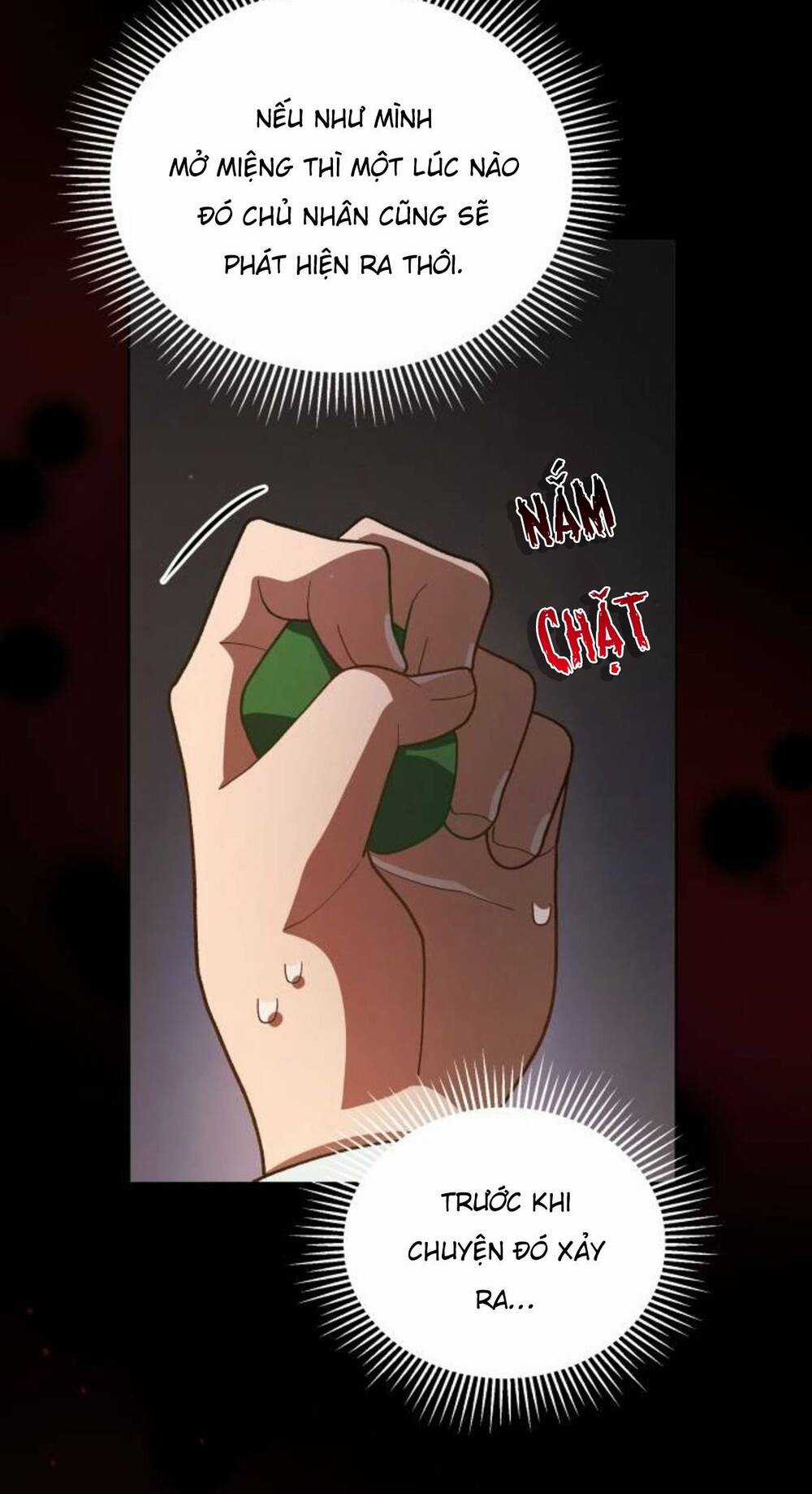 Tôi Đã Quyến Rũ Vị Công Tước Dối Trá Chapter 22.1 trang 18