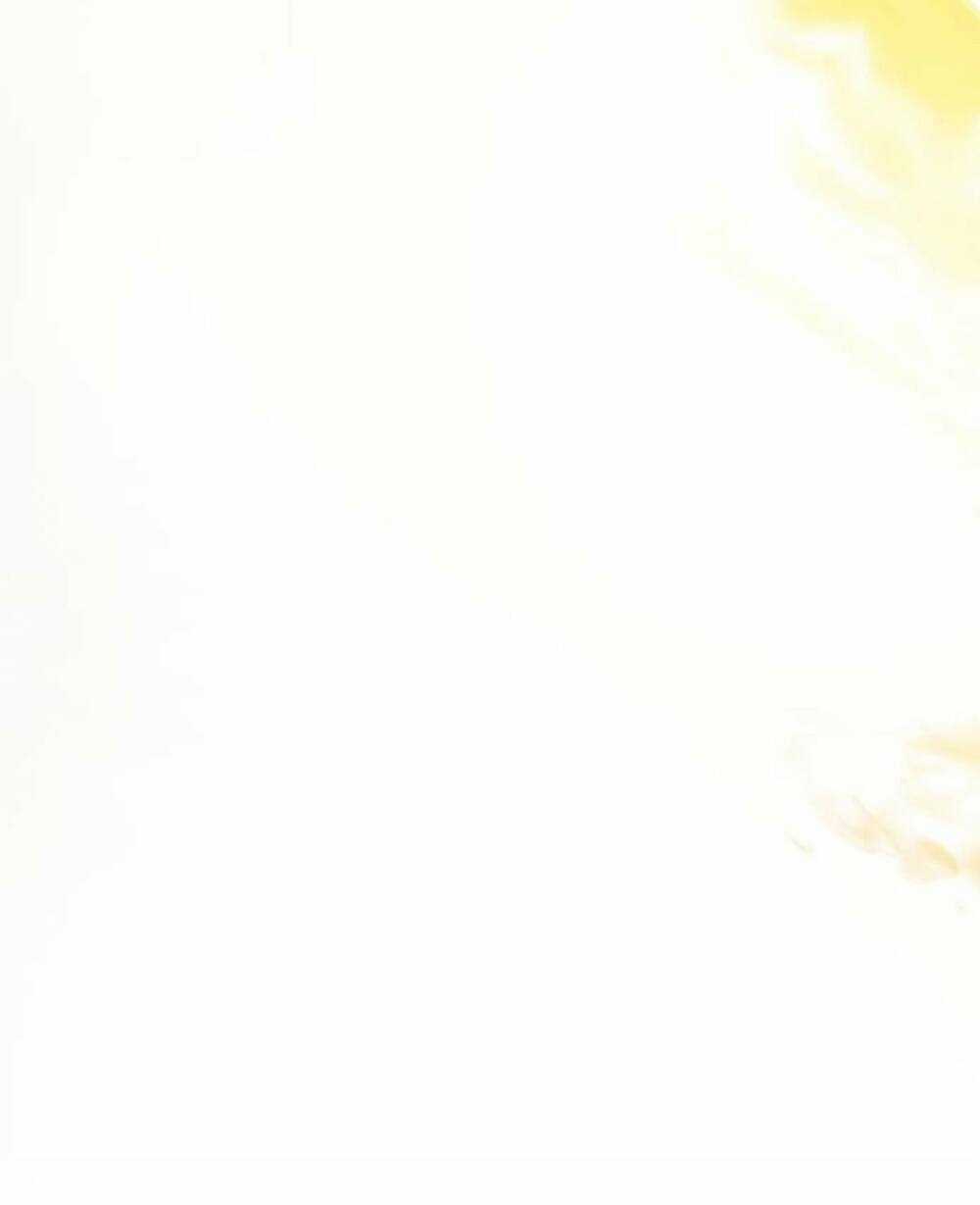 Tôi Đã Quyến Rũ Vị Công Tước Dối Trá Chapter 24.2 trang 29