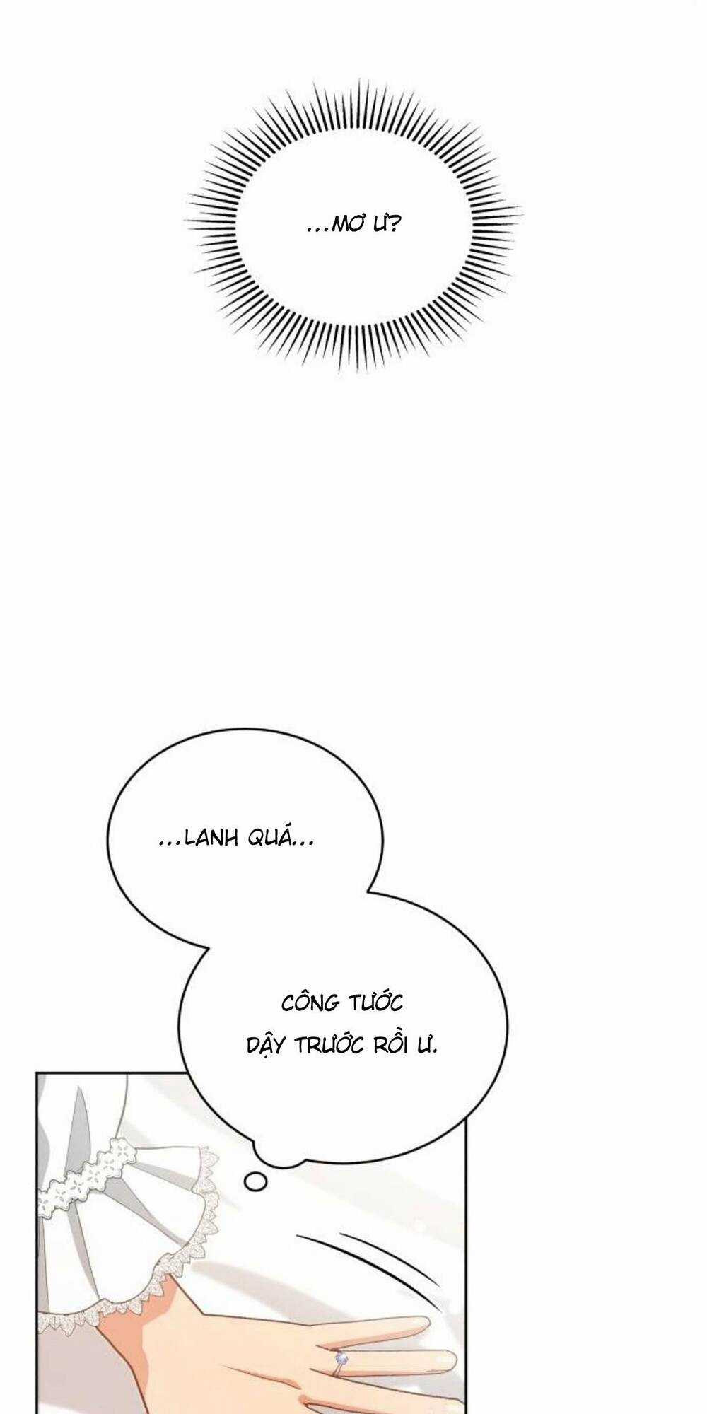 Tôi Đã Quyến Rũ Vị Công Tước Dối Trá Chapter 24.2 trang 31