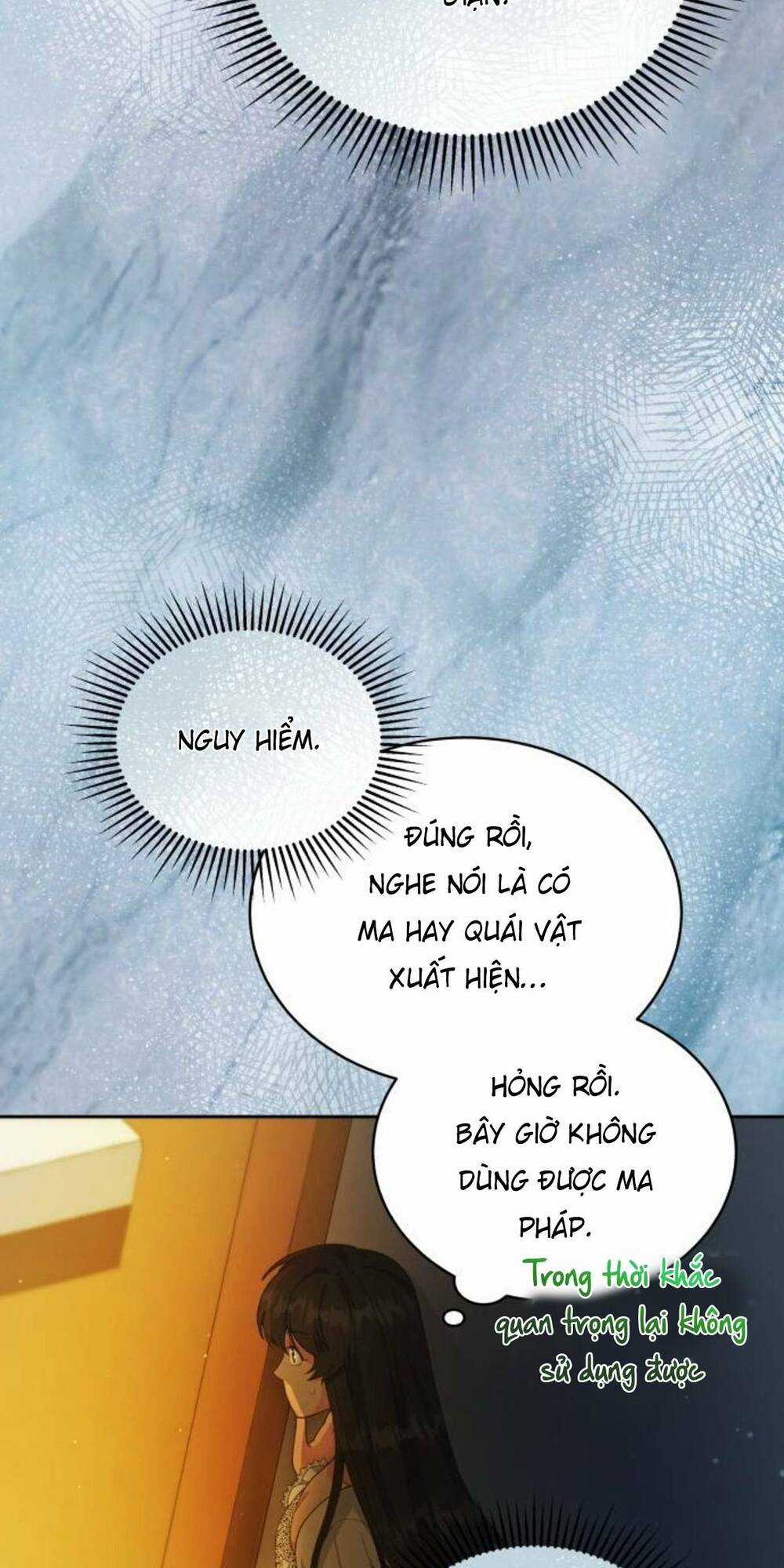 Tôi Đã Quyến Rũ Vị Công Tước Dối Trá Chapter 27.2 trang 24