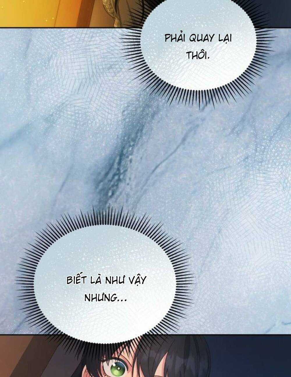 Tôi Đã Quyến Rũ Vị Công Tước Dối Trá Chapter 27.2 trang 25