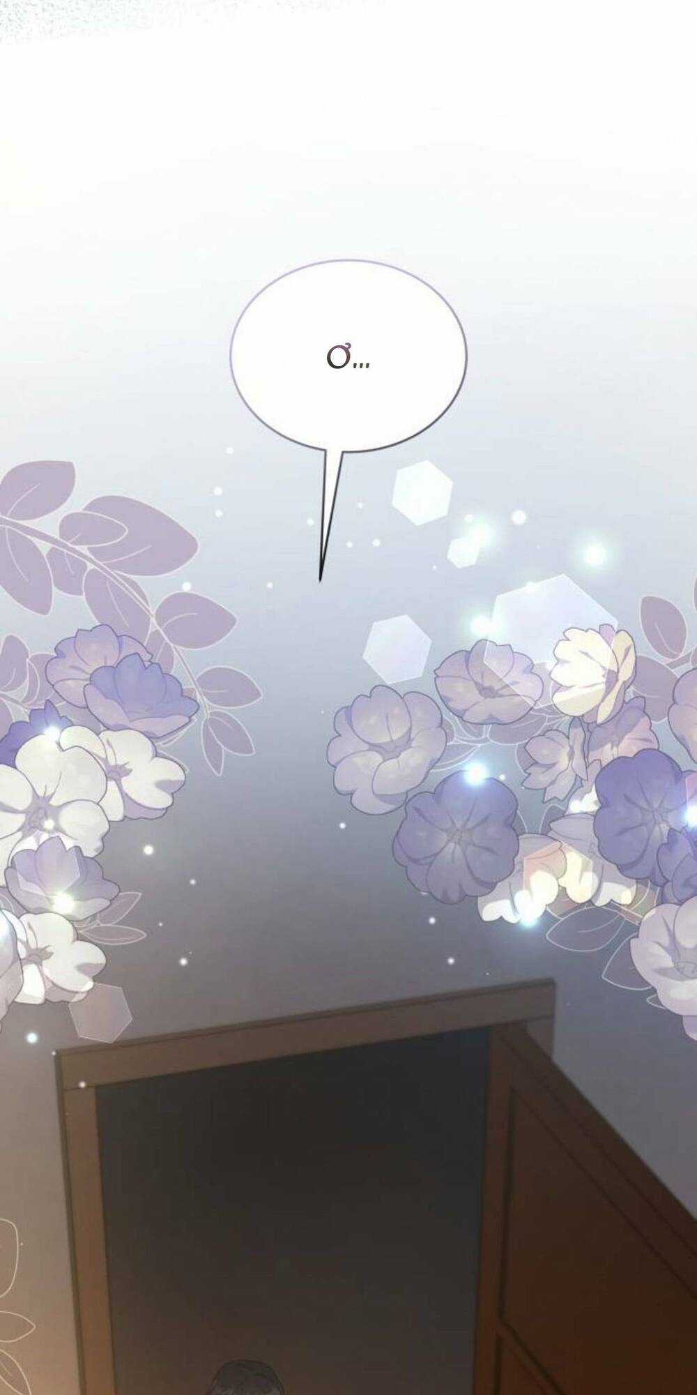 Tôi Đã Quyến Rũ Vị Công Tước Dối Trá Chapter 27.2 trang 27