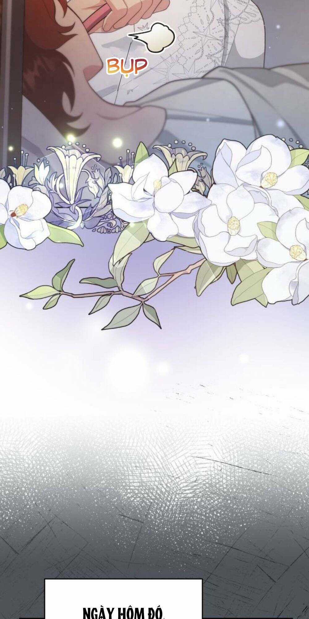 Tôi Đã Quyến Rũ Vị Công Tước Dối Trá Chapter 28.1 trang 7