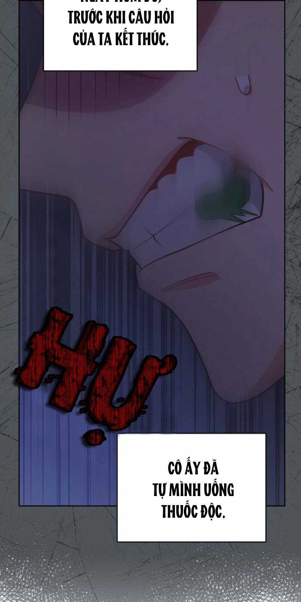 Tôi Đã Quyến Rũ Vị Công Tước Dối Trá Chapter 28.1 trang 8