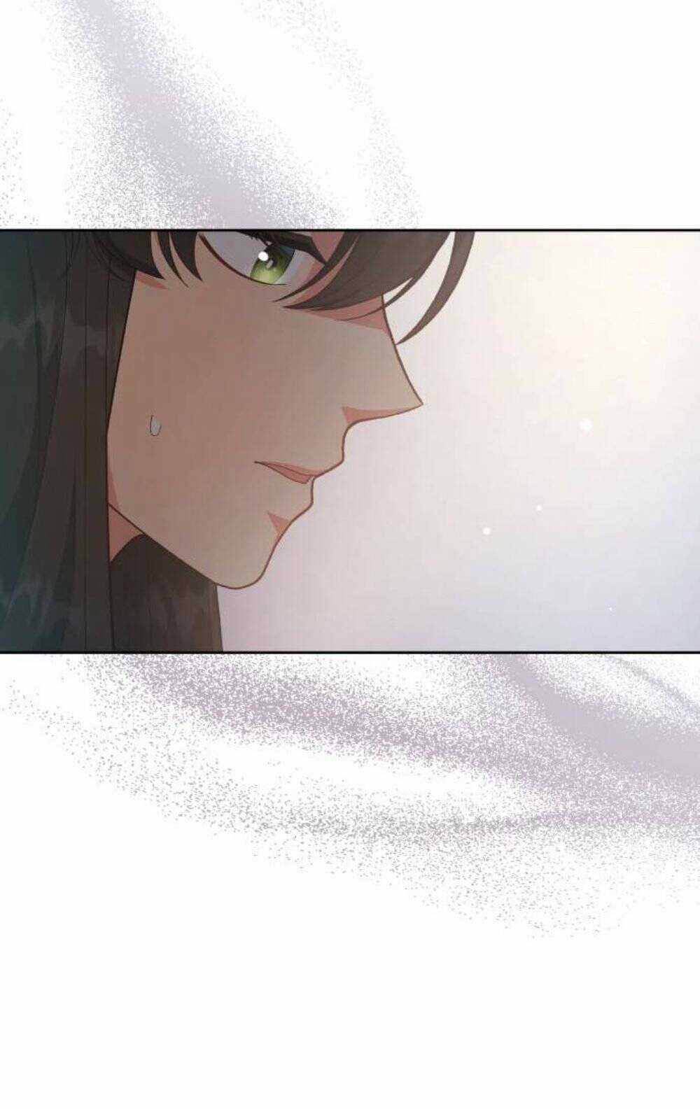 Tôi Đã Quyến Rũ Vị Công Tước Dối Trá Chapter 28.2 trang 28