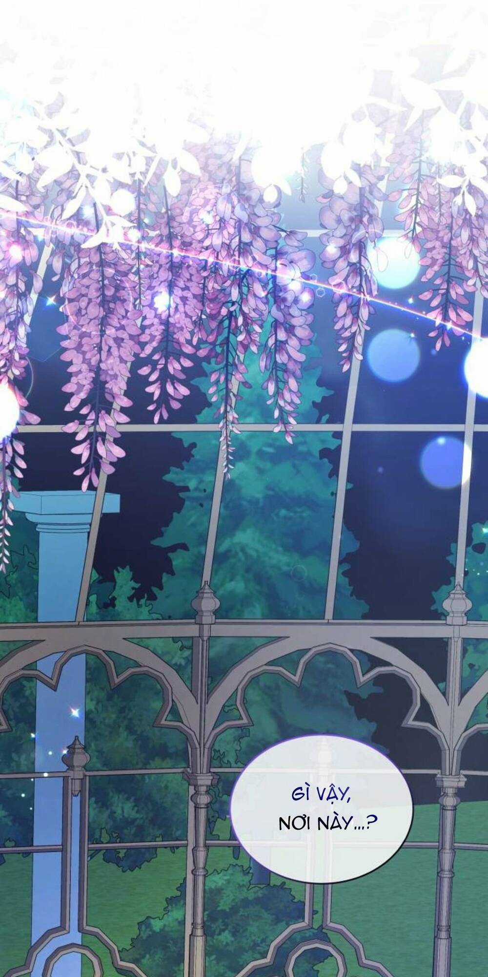 Tôi Đã Quyến Rũ Vị Công Tước Dối Trá Chapter 29.2 trang 33