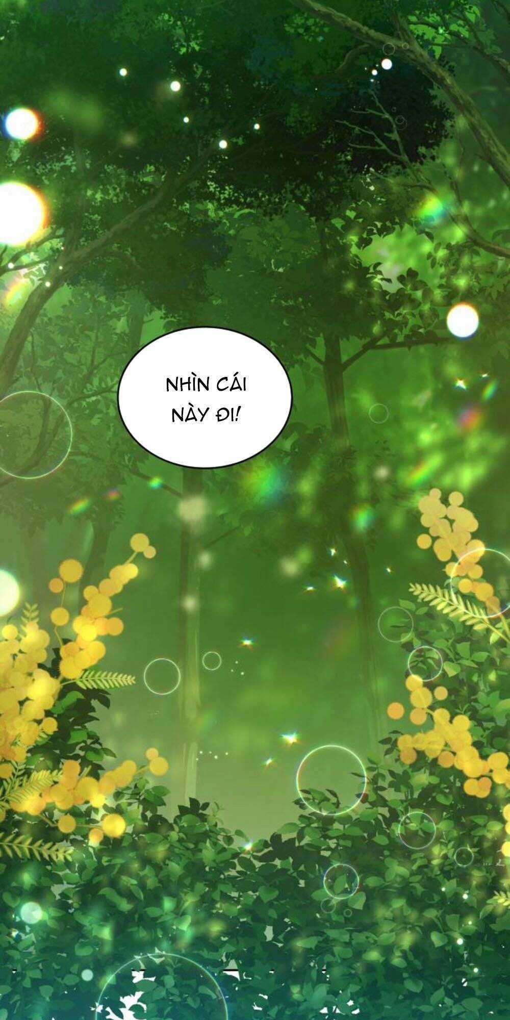 Tôi Đã Quyến Rũ Vị Công Tước Dối Trá Chapter 39.2 trang 10