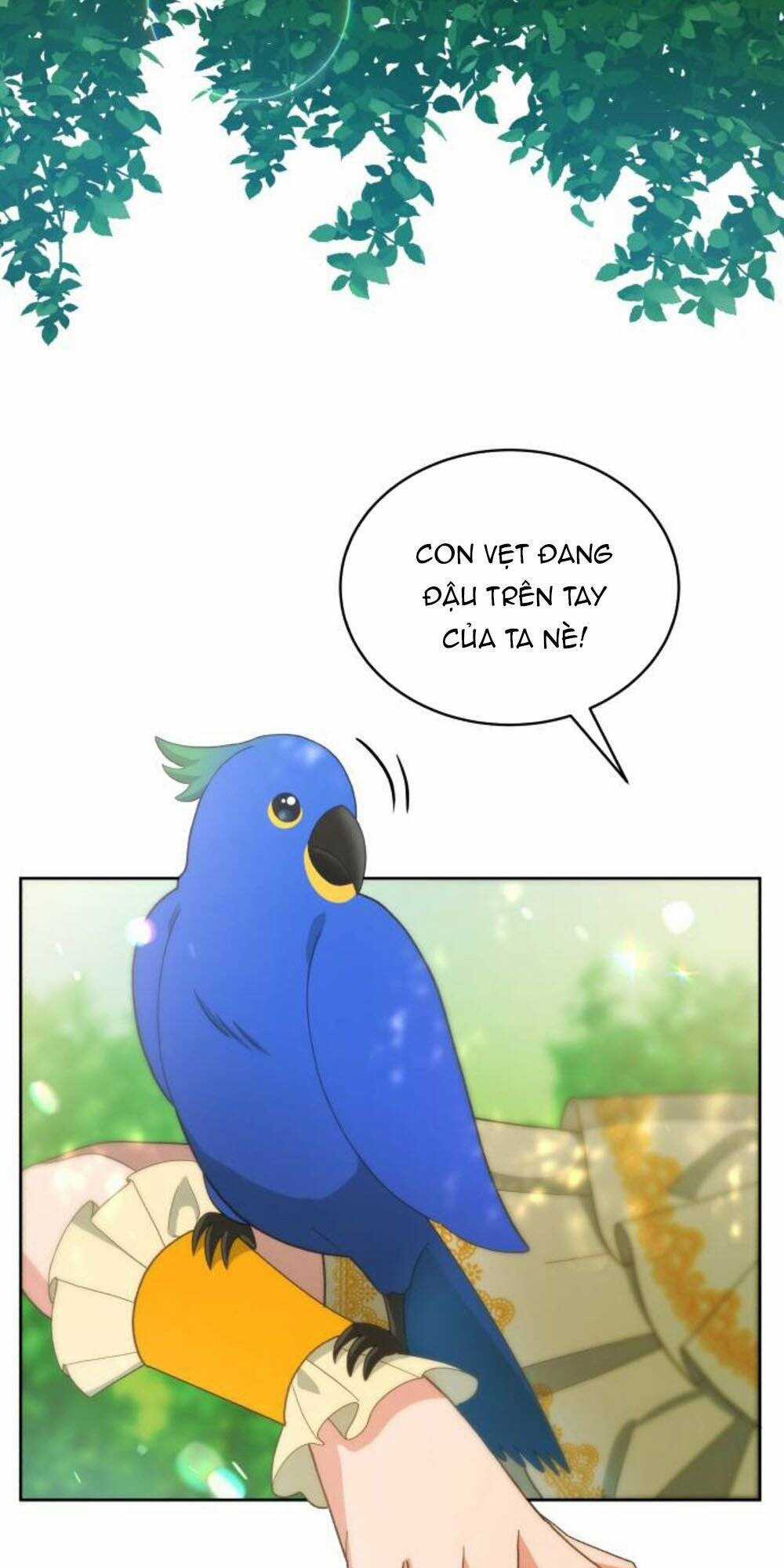 Tôi Đã Quyến Rũ Vị Công Tước Dối Trá Chapter 39.2 trang 11