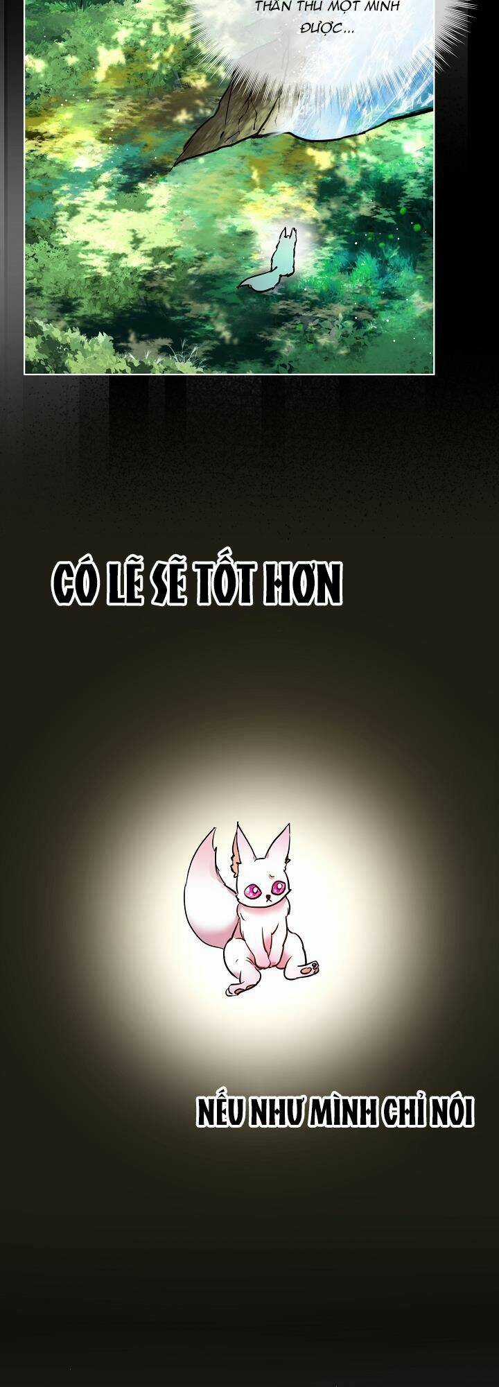 Tôi Đã Tái Sinh Thành Bé Cáo Của Thần Chapter 2 trang 11