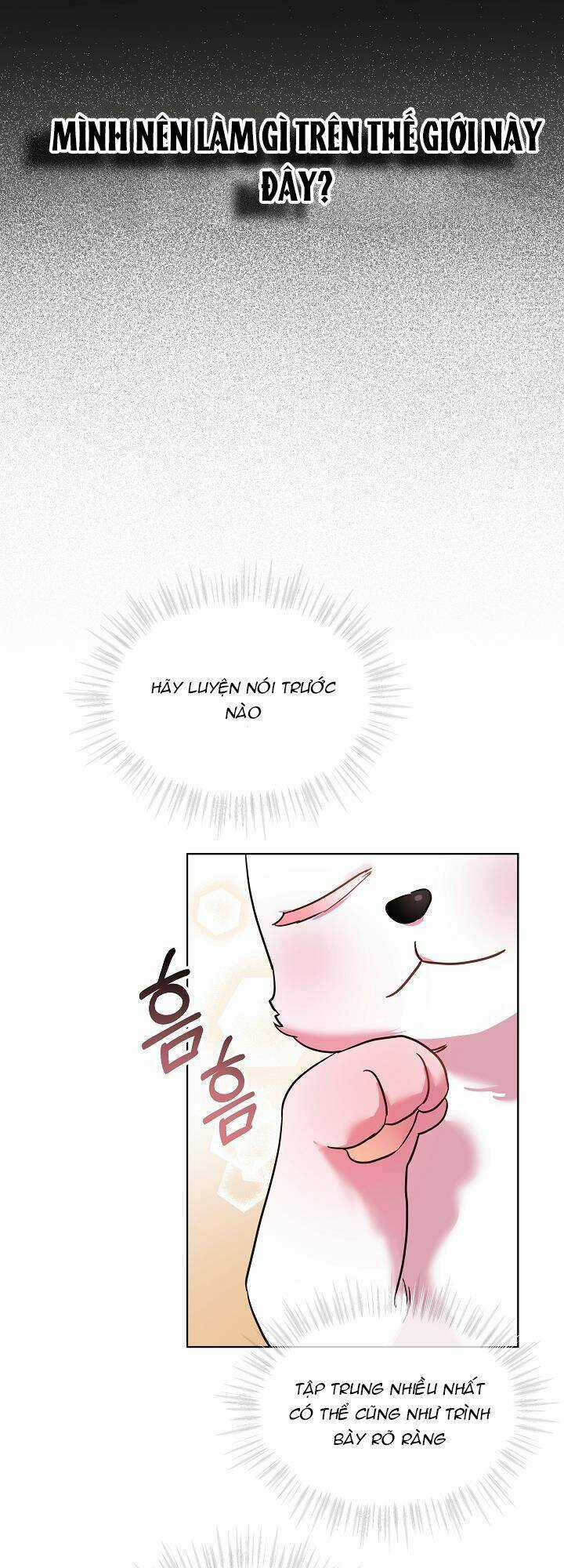 Tôi Đã Tái Sinh Thành Bé Cáo Của Thần Chapter 2 trang 12