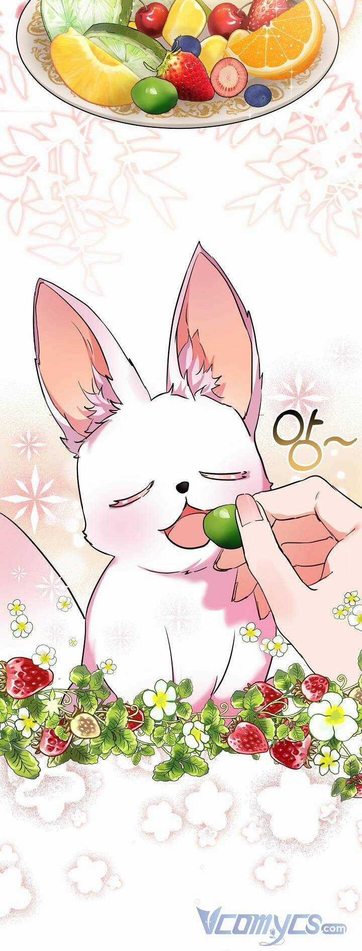 Tôi Đã Tái Sinh Thành Bé Cáo Của Thần Chapter 2 trang 15