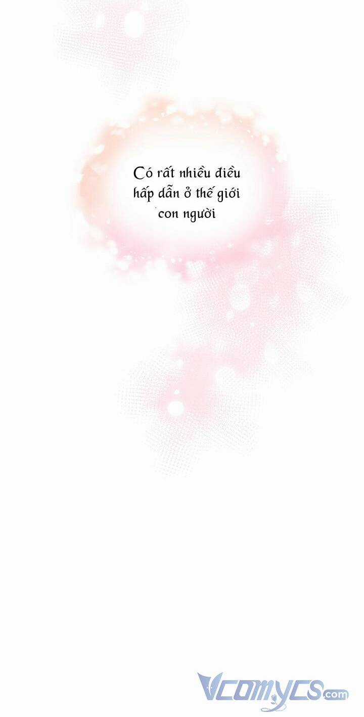 Tôi Đã Tái Sinh Thành Bé Cáo Của Thần Chapter 2 trang 31