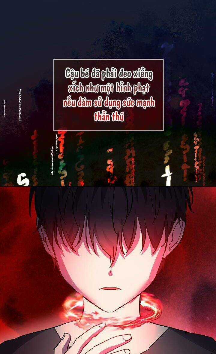Tôi Đã Tái Sinh Thành Bé Cáo Của Thần Chapter 26 trang 12