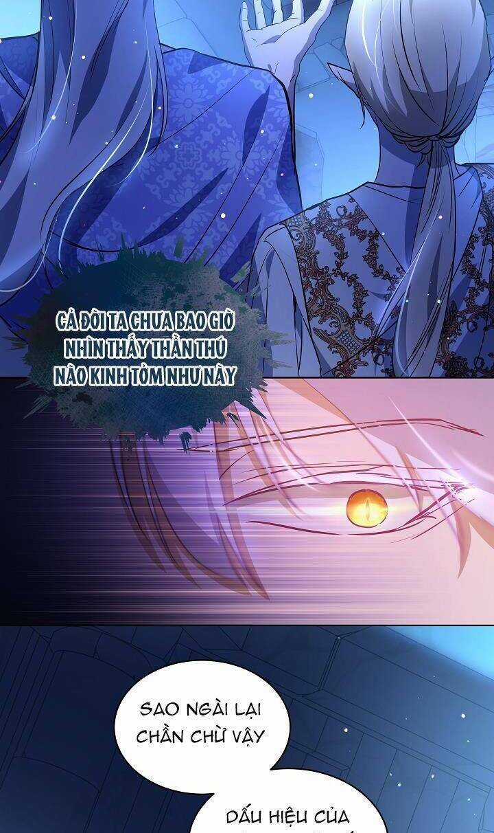 Tôi Đã Tái Sinh Thành Bé Cáo Của Thần Chapter 26 trang 3
