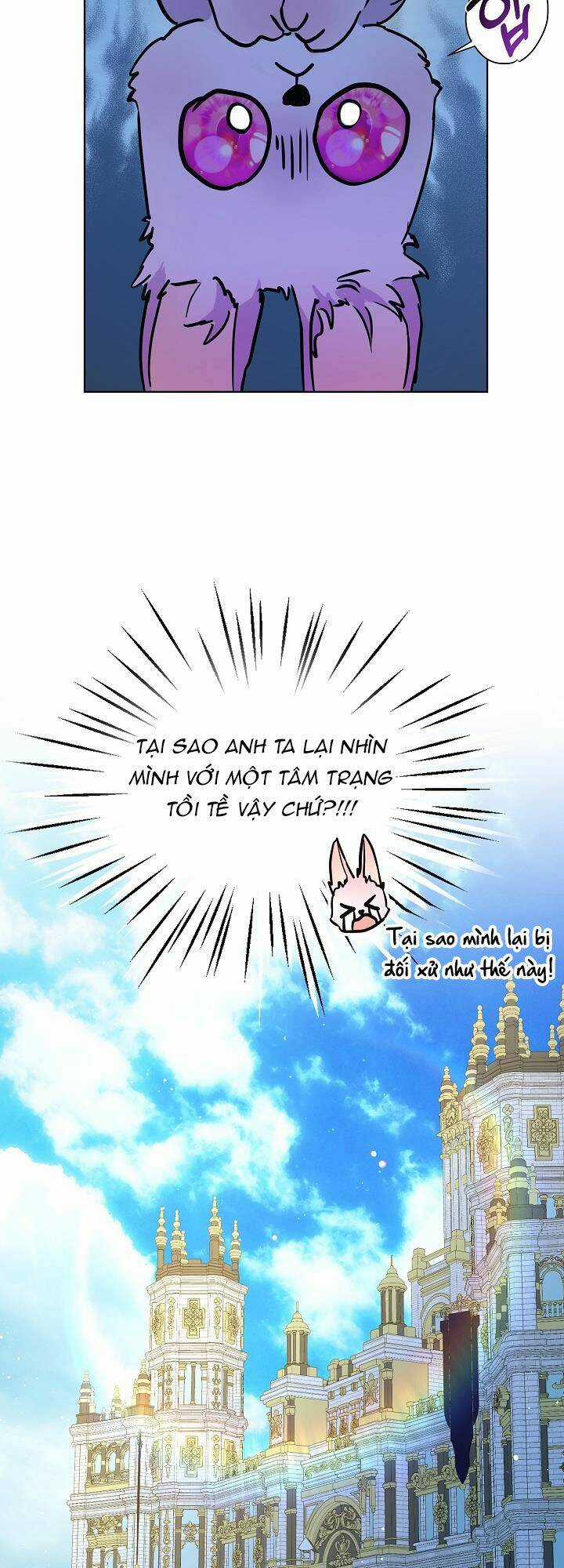 Tôi Đã Tái Sinh Thành Bé Cáo Của Thần Chapter 3 trang 39