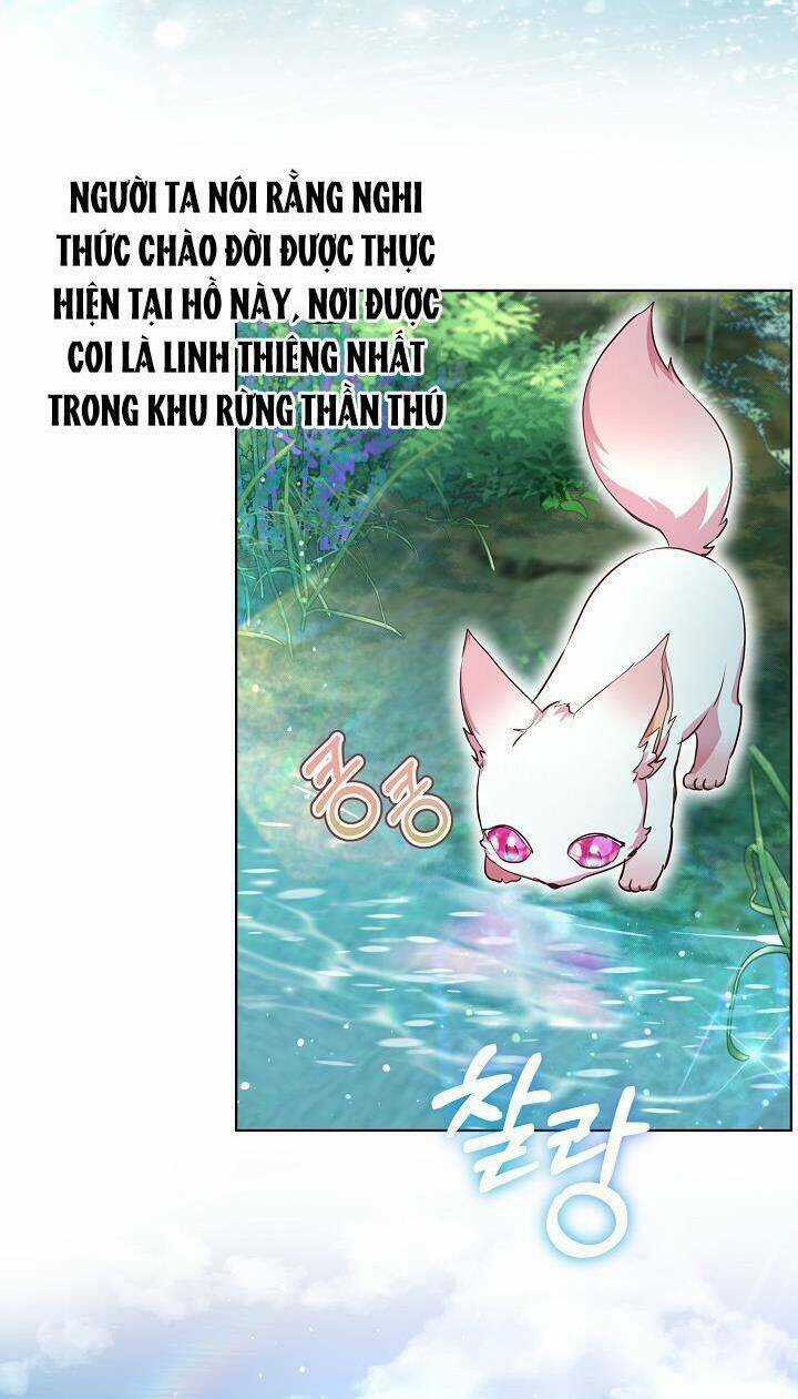 Tôi Đã Tái Sinh Thành Bé Cáo Của Thần Chapter 30 trang 35