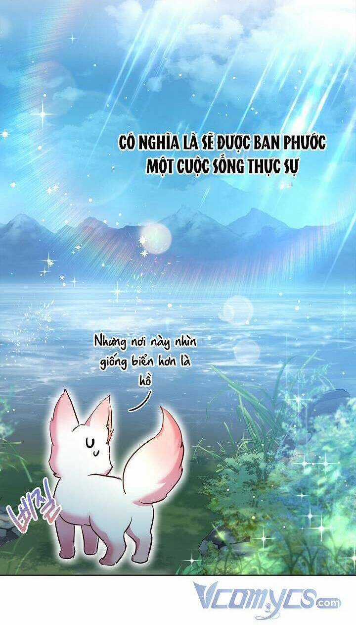 Tôi Đã Tái Sinh Thành Bé Cáo Của Thần Chapter 30 trang 36