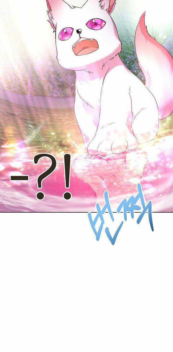 Tôi Đã Tái Sinh Thành Bé Cáo Của Thần Chapter 30 trang 71