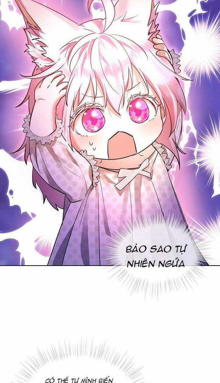 Tôi Đã Tái Sinh Thành Bé Cáo Của Thần Chapter 35 trang 31
