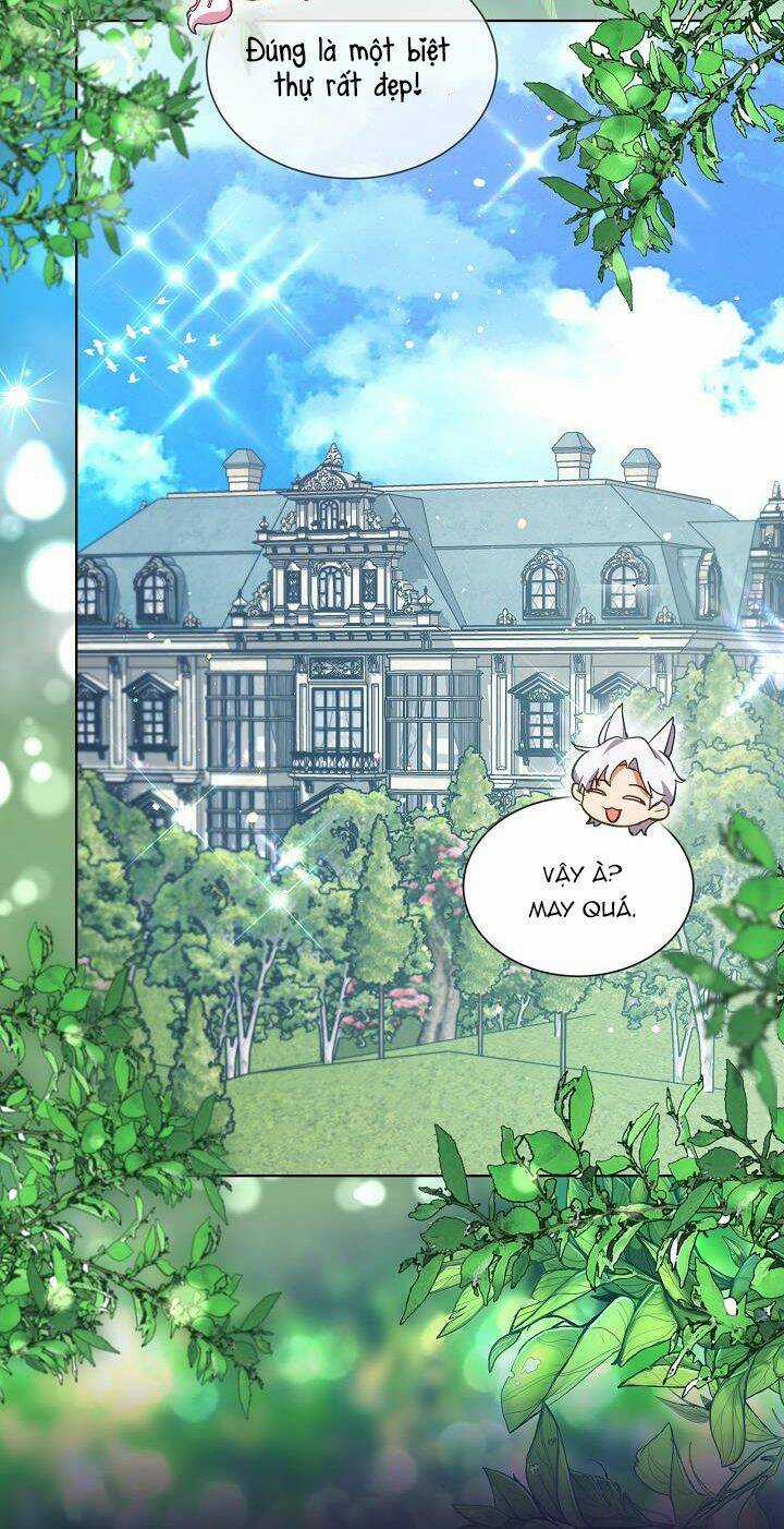 Tôi Đã Tái Sinh Thành Bé Cáo Của Thần Chapter 36 trang 22