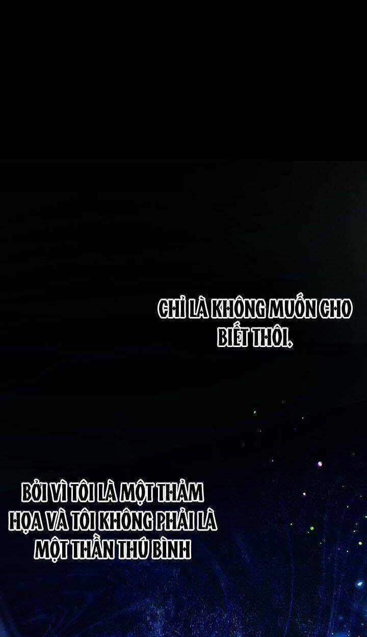 Tôi Đã Tái Sinh Thành Bé Cáo Của Thần Chapter 37 trang 36