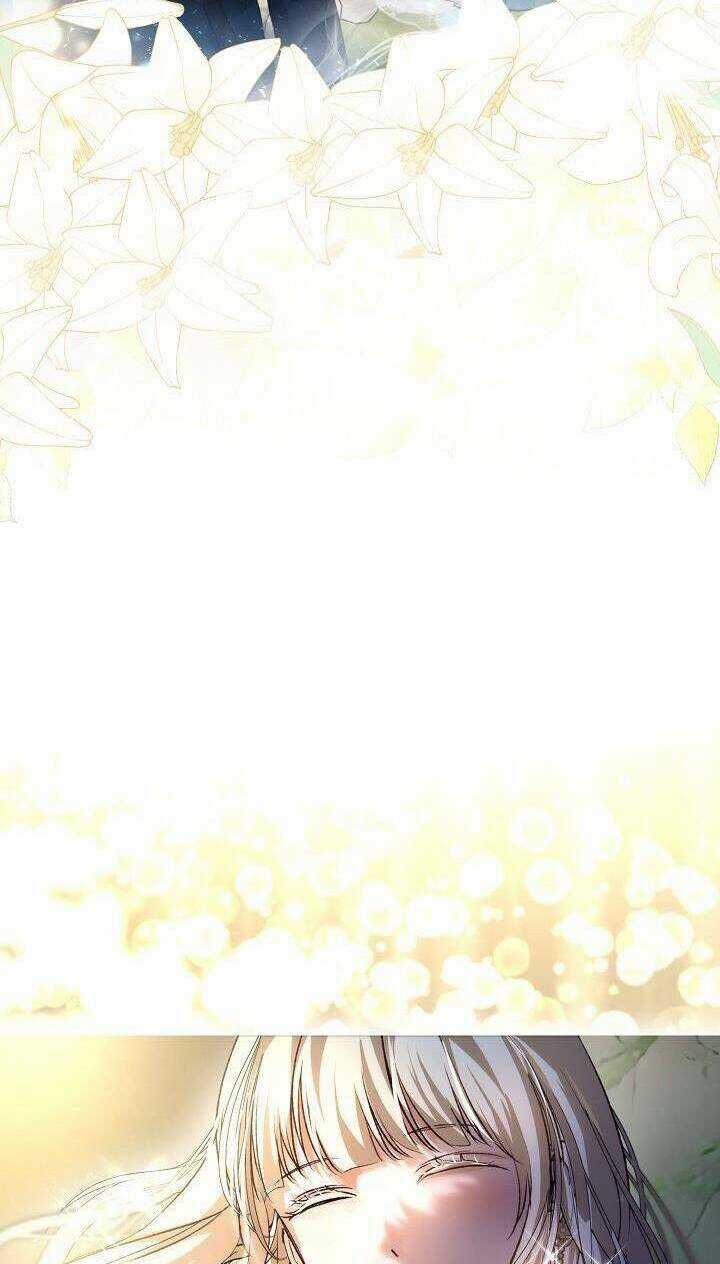 Tôi Đã Tái Sinh Thành Bé Cáo Của Thần Chapter 37 trang 7