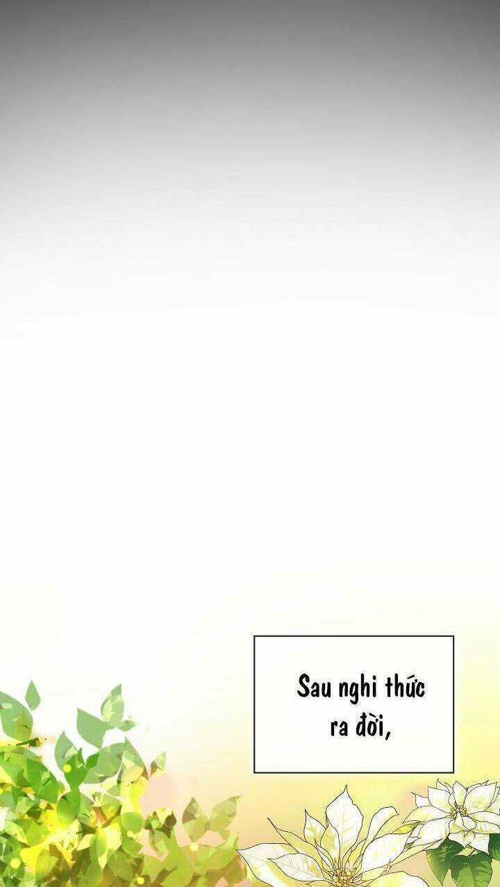 Tôi Đã Tái Sinh Thành Bé Cáo Của Thần Chapter 38 trang 27