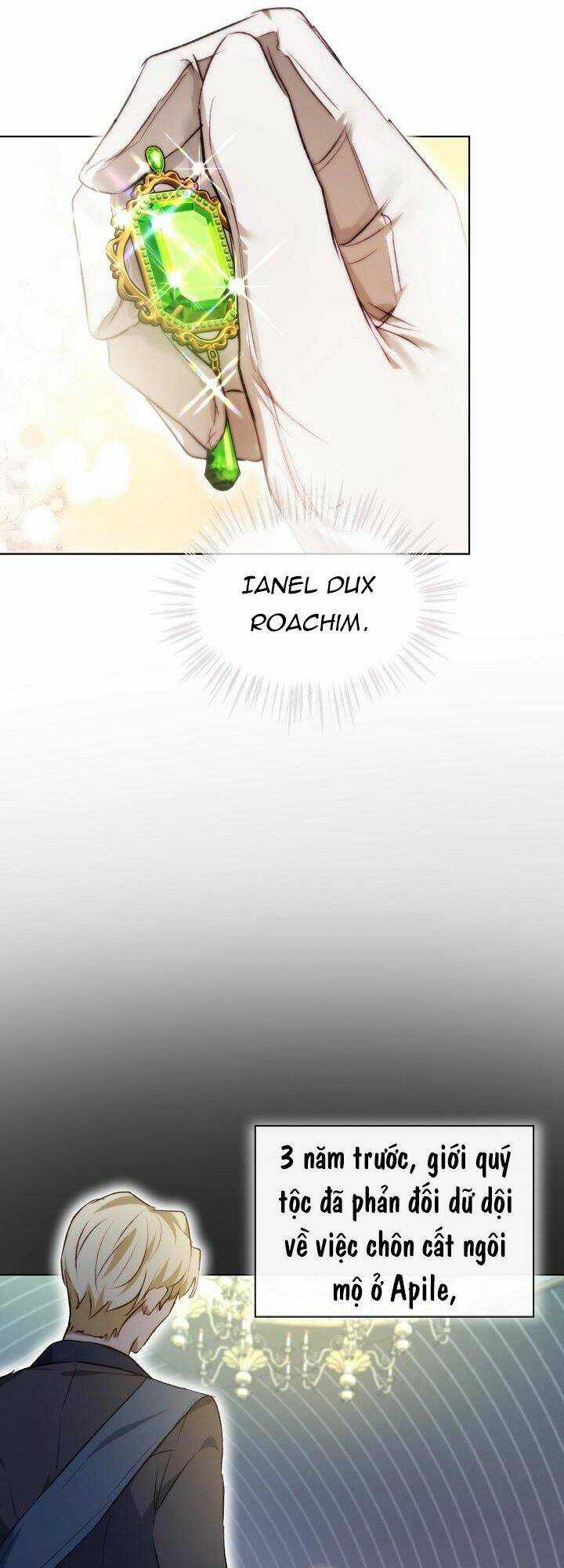 Tôi Đã Tái Sinh Thành Bé Cáo Của Thần Chapter 39 trang 40