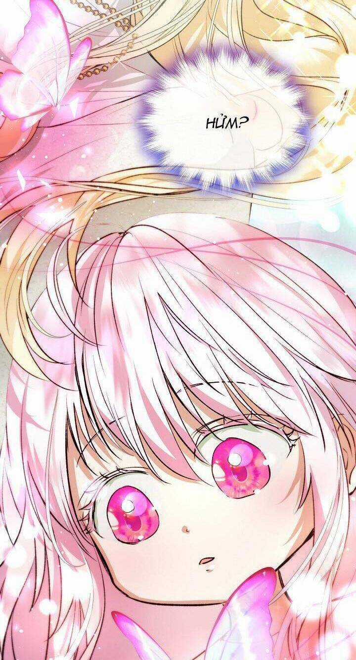 Tôi Đã Tái Sinh Thành Bé Cáo Của Thần Chapter 40 trang 14