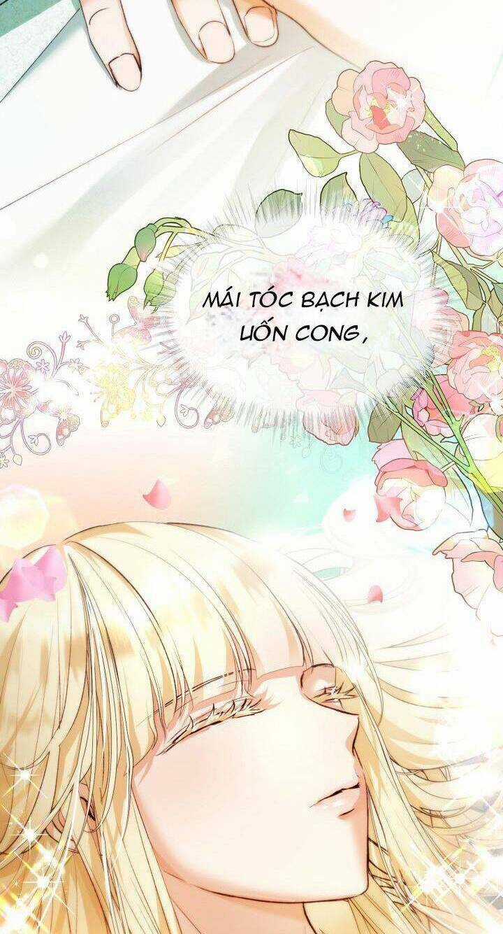 Tôi Đã Tái Sinh Thành Bé Cáo Của Thần Chapter 40 trang 16