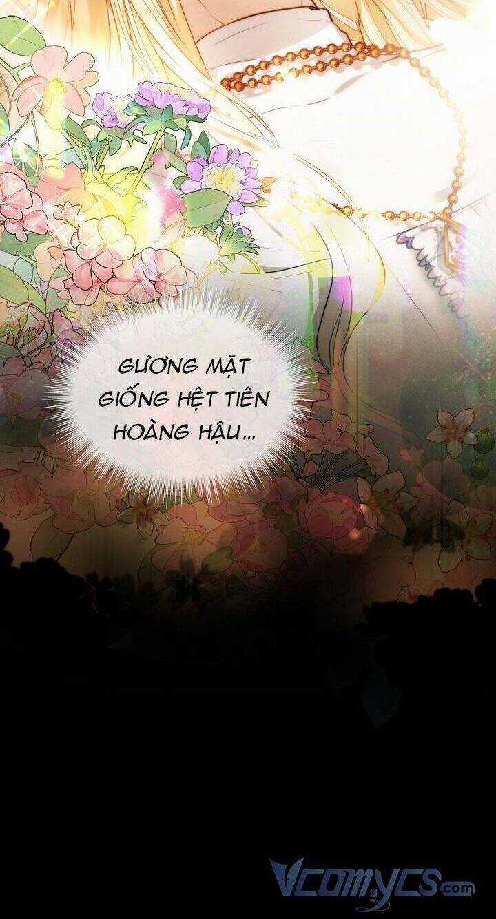 Tôi Đã Tái Sinh Thành Bé Cáo Của Thần Chapter 40 trang 17