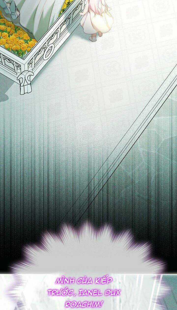 Tôi Đã Tái Sinh Thành Bé Cáo Của Thần Chapter 40 trang 19