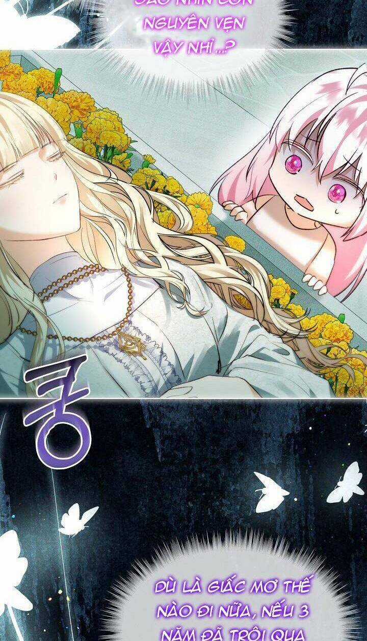 Tôi Đã Tái Sinh Thành Bé Cáo Của Thần Chapter 40 trang 22