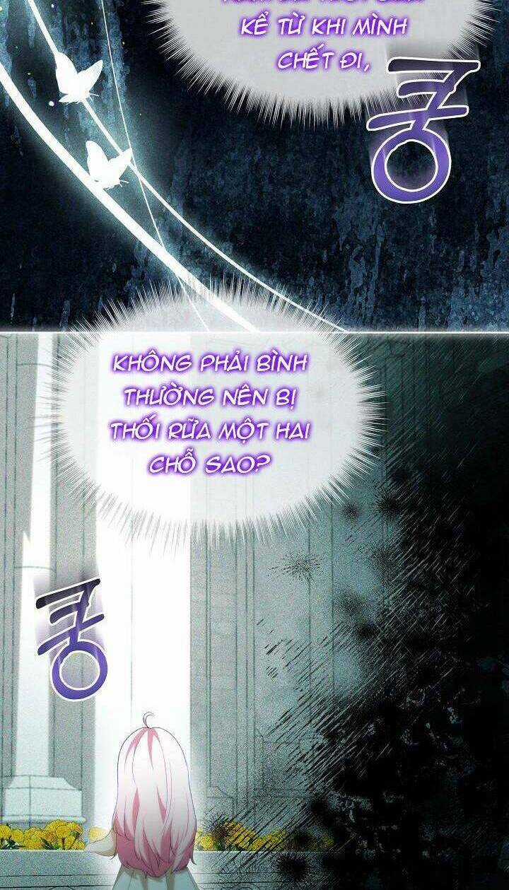 Tôi Đã Tái Sinh Thành Bé Cáo Của Thần Chapter 40 trang 23