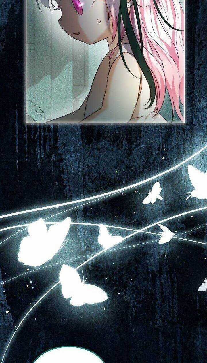 Tôi Đã Tái Sinh Thành Bé Cáo Của Thần Chapter 40 trang 25