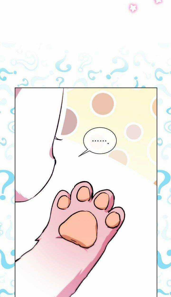 Tôi Đã Tái Sinh Thành Bé Cáo Của Thần Chapter 40 trang 37