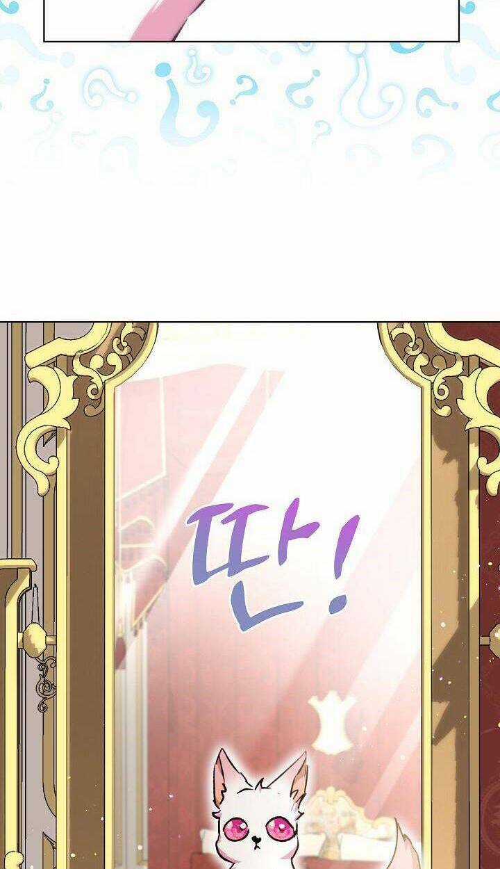 Tôi Đã Tái Sinh Thành Bé Cáo Của Thần Chapter 40 trang 38