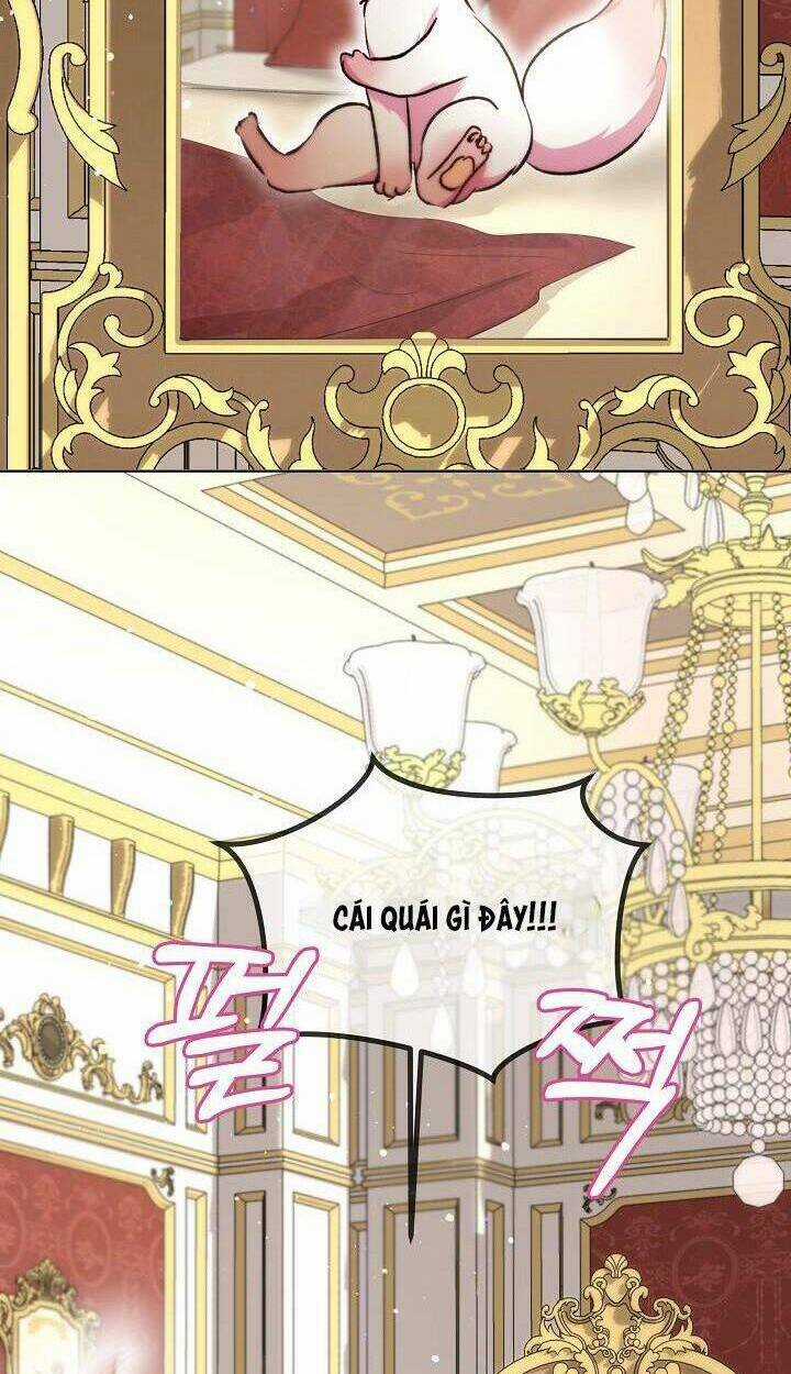 Tôi Đã Tái Sinh Thành Bé Cáo Của Thần Chapter 40 trang 39