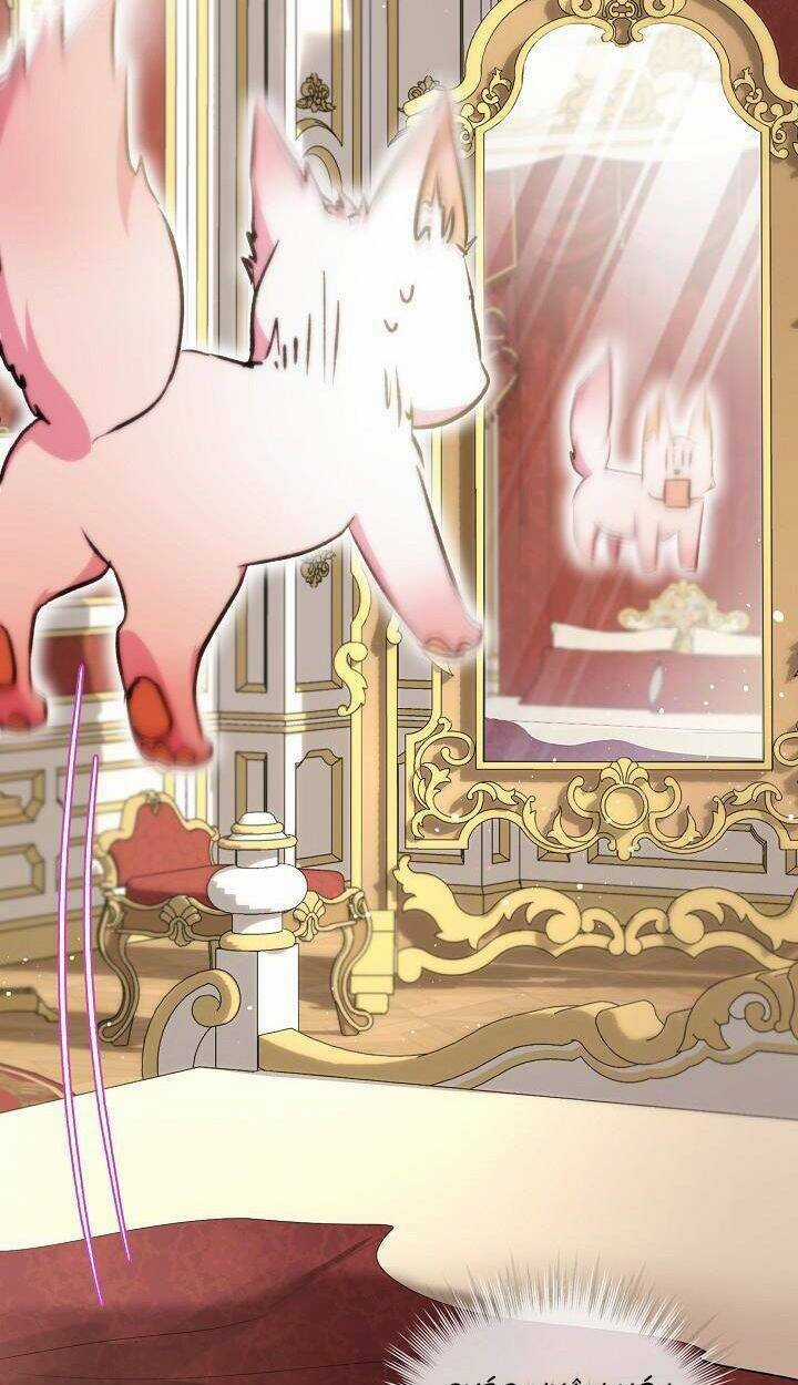 Tôi Đã Tái Sinh Thành Bé Cáo Của Thần Chapter 40 trang 40