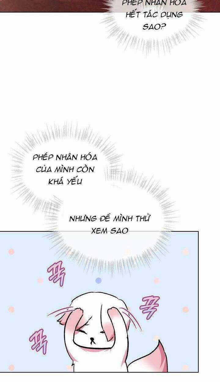 Tôi Đã Tái Sinh Thành Bé Cáo Của Thần Chapter 40 trang 41
