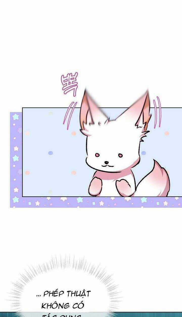 Tôi Đã Tái Sinh Thành Bé Cáo Của Thần Chapter 40 trang 42