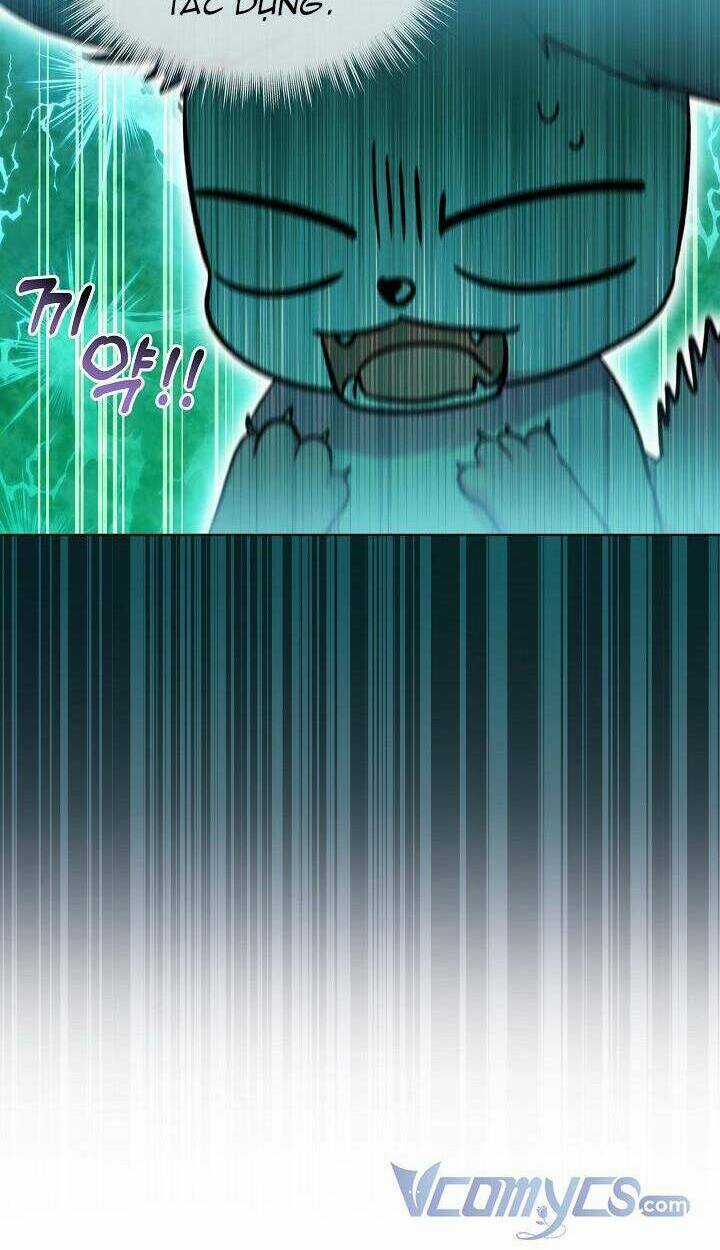 Tôi Đã Tái Sinh Thành Bé Cáo Của Thần Chapter 40 trang 43