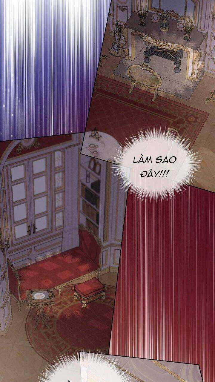 Tôi Đã Tái Sinh Thành Bé Cáo Của Thần Chapter 40 trang 48