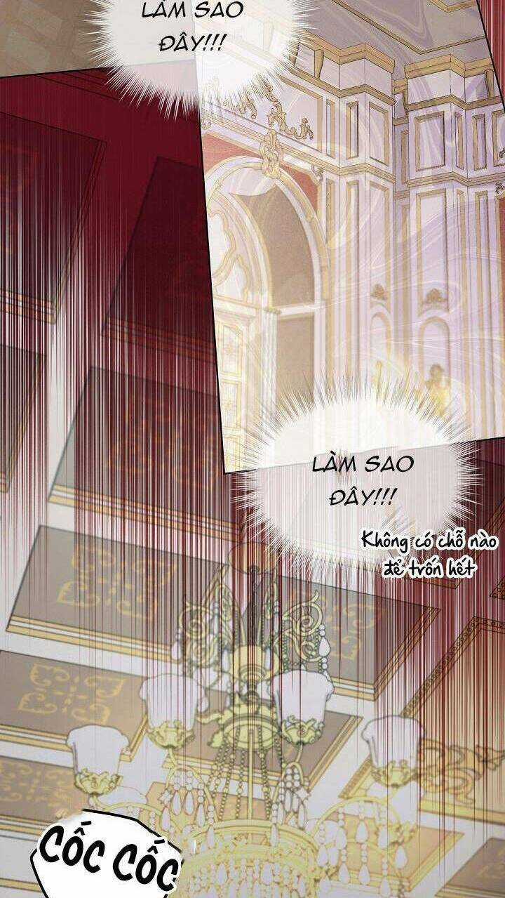 Tôi Đã Tái Sinh Thành Bé Cáo Của Thần Chapter 40 trang 49