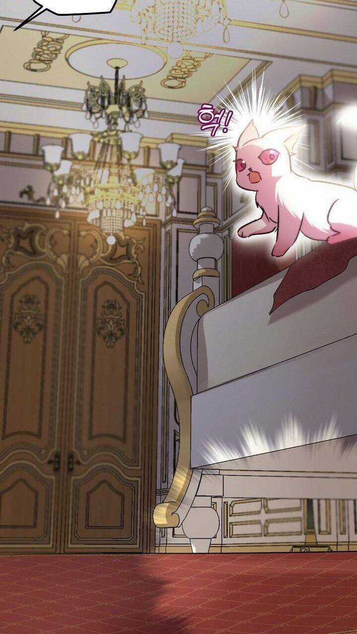 Tôi Đã Tái Sinh Thành Bé Cáo Của Thần Chapter 40 trang 50